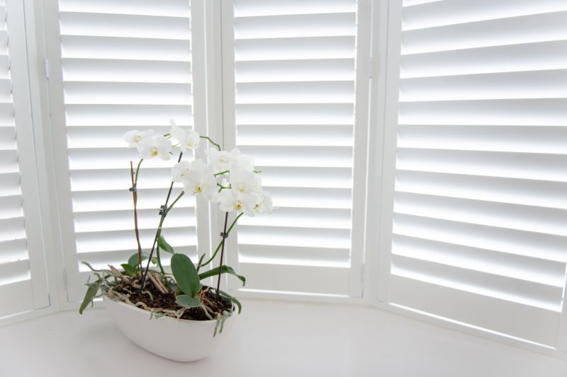 Window Shutters Replacement in Richmond, VA